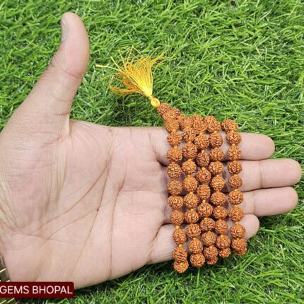 Natural 5 Mukhi Rudraksha Mala (8 mm)